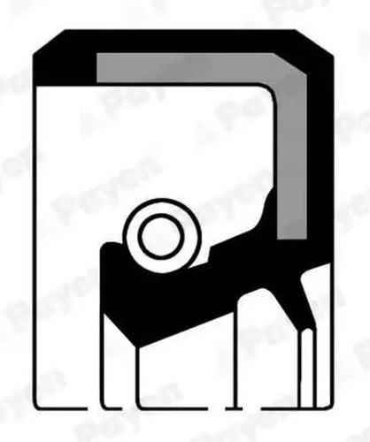 Crankshaft seal ring - crankshaft,