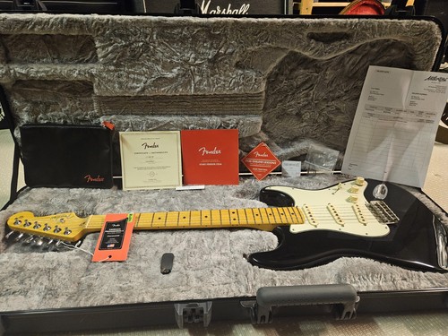 Fender stratocaster american - fender,