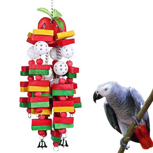 Large bird parrot - large,