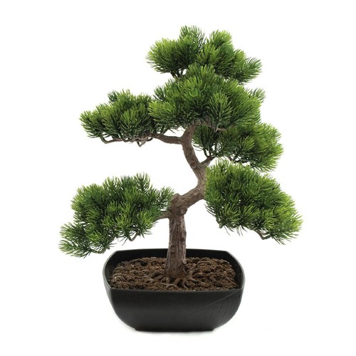 Europalms pine bonsai table - europalms,