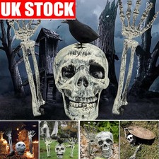 Skeleton Decoration W/Crow