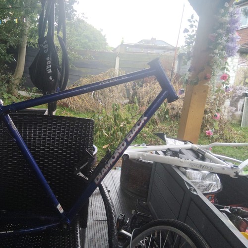 Vintage diamond back ascent - back,