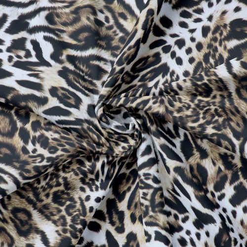 Leopard skin wild animal - skin,