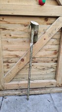 Holly Walking Stick Cane Blank