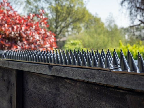 Fence wall spikes - spikes, garden