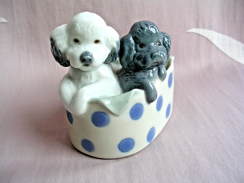 Cute little puppies basket - cute,