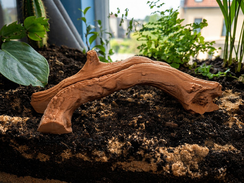 Printed reptile climbing - reptile,