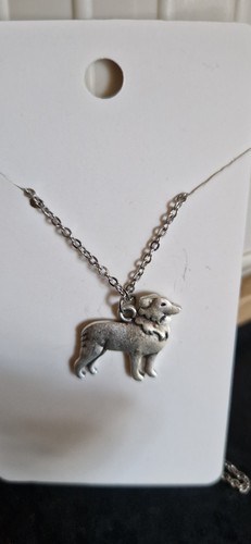Cute border collie dog - border,