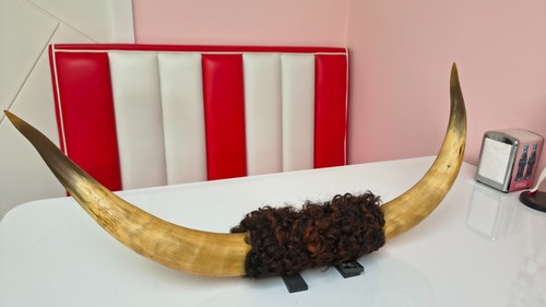 Antique vintage bull cattle - vintage,
