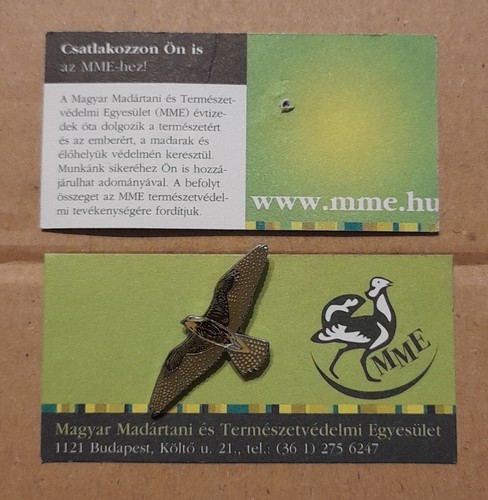 Mme saker falcon - falcon, flying