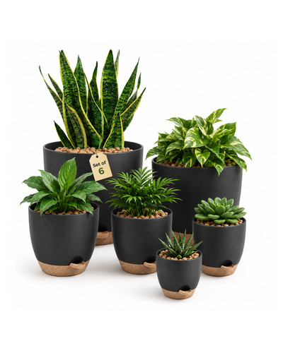 Bamworld pcs self watering - 6,