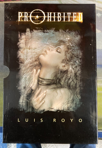 Luis royo prohibited - luis, 3