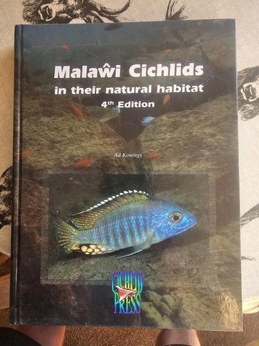 Malawi cichlids their - malawi,