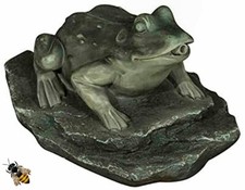 POND SPITTER FROG ON