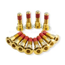 12x Triumph Daytona 955i 98-06