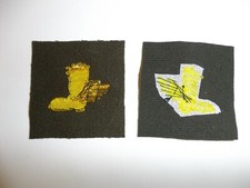 e3800 WW 2 US Army Air Force Royal RAF Flying Wing Boot Club bullion OD A2A12