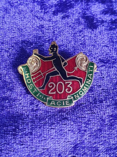Canadian 203rd infantry - canadian,