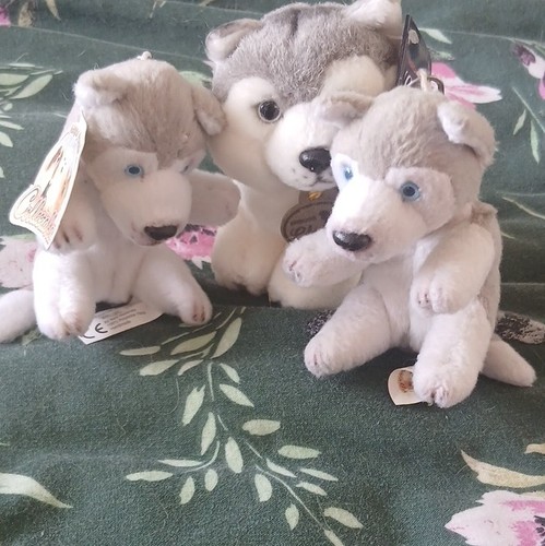 Aurora classic husky puppy - classic,