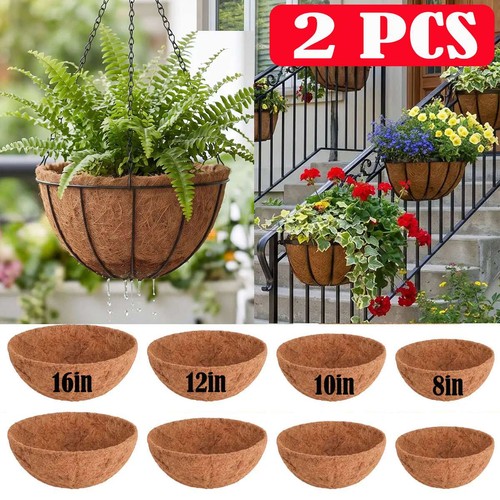 2pcs round replacement - 2pcs, plant