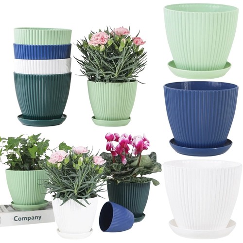 Plant pots indoor outdoor - plant,