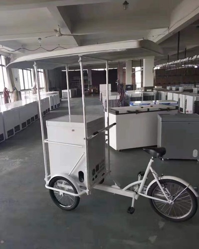Food cart freezer - food, ice