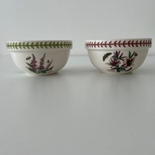 Portmeirion Botanic Garden  2