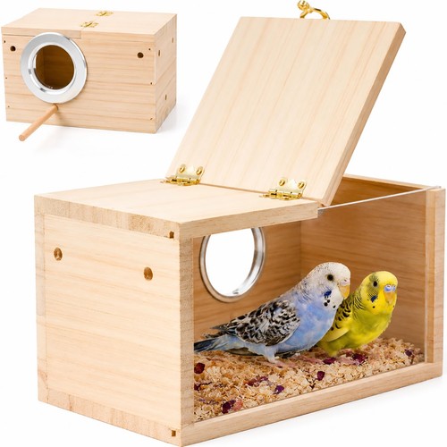 Parakeet nesting transparent - parakeet,