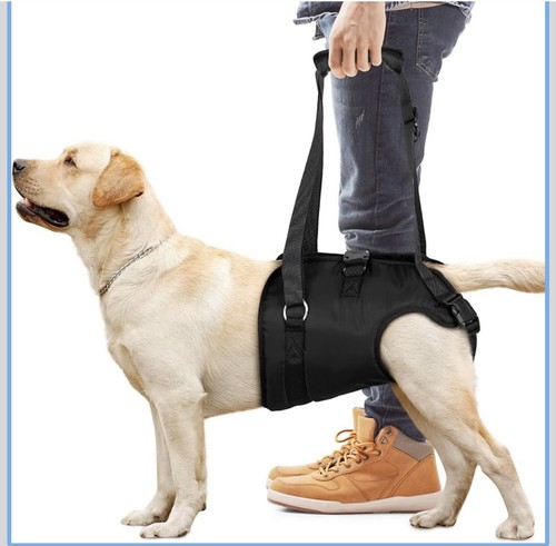 Chalklit dog sling for - chalklit,