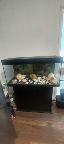 Juwel glass aquarium - glass, fish