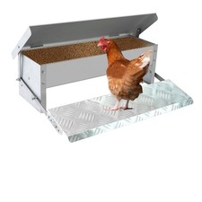 Rat Proof Automatic Chicken