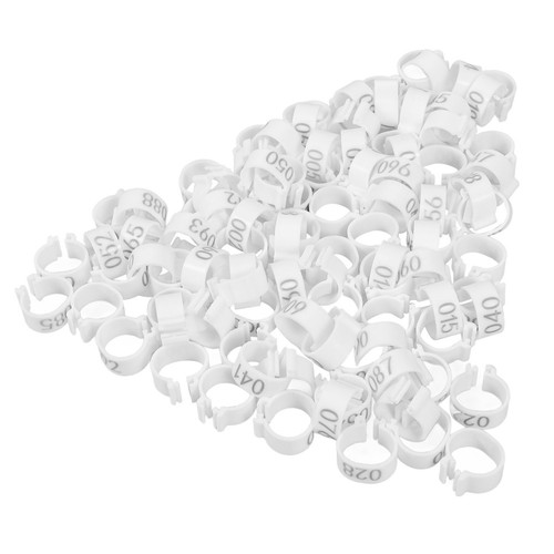 100 pcs pigeon - 100,