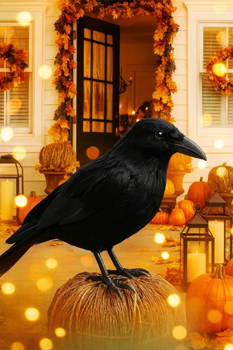 Realistic black crow - black, halloween