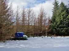 Photo 6x4 Argocat in the forest Allt Dearg/NG3845 The all terrain vehicl c2010