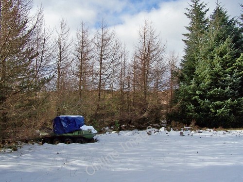 Photo 6x4 argocat the - in,