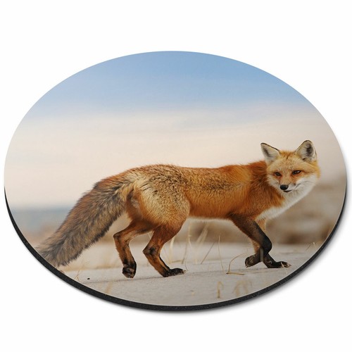 Round mouse mat - mouse, wild