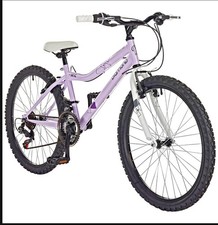 Pazzaz 24 Inch Wheel Size