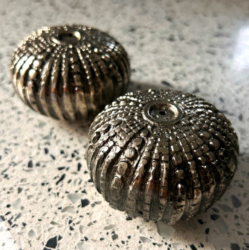 Culinary concepts sea urchin - culinary,