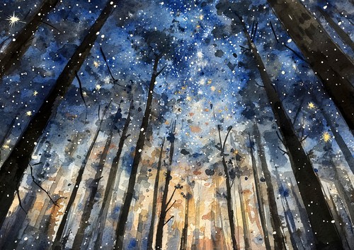 Starry forest night - forest,