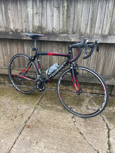 Willier trestina izoard - izoard, carbon
