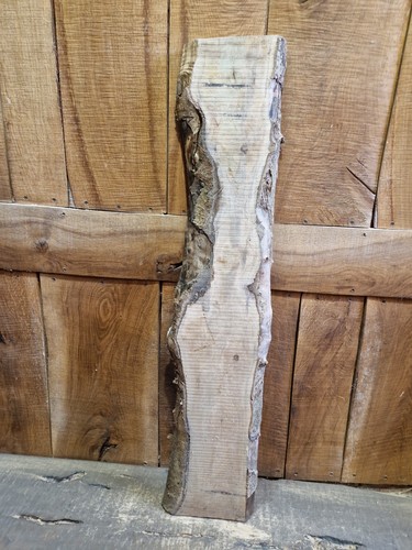Live edge holly slab - live,