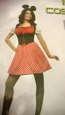 Ladies teens fancy dress