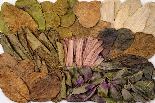 Kiln dried leaf litter bio - leaf,