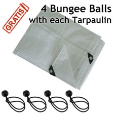 Tarpaulin Strengthened