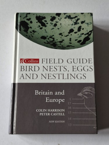 Bird nests eggs - nests,, nestlings
