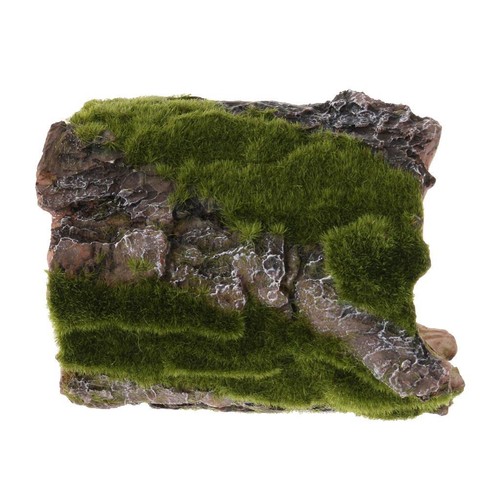 Aquarium tank reptile bends - aquarium,