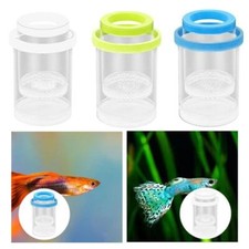 Floating Fish Isolation Box Aquarium Breeder Feeder for Clownfish Gup D3P7