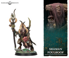 Shaman Foulhoof  - Warhammer
