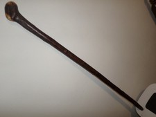 Blackthorn knob Walking Stick
