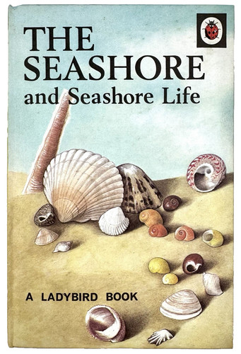 The seashore and - the,