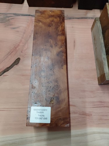 Exotic thuya burl blank - exotic,